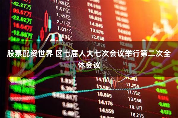 股票配资世界 区七届人大七次会议举行第二次全体会议