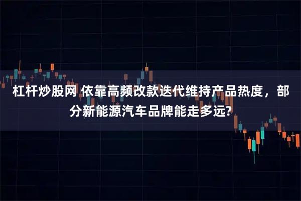 杠杆炒股网 依靠高频改款迭代维持产品热度，部分新能源汽车品牌能走多远?